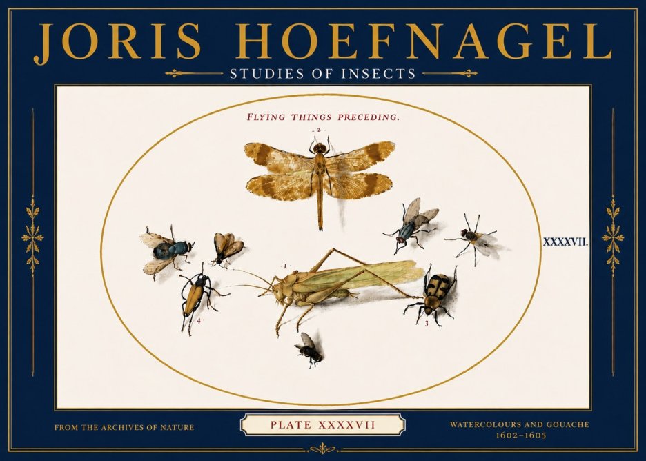 Joris Hoefnagel Flying Things Preceding. No6 - Póster