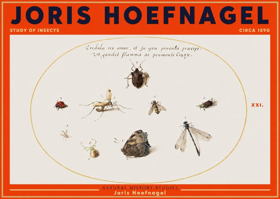 Joris Hoefnagel Study of Insects • Circa 1590 No3 - Póster