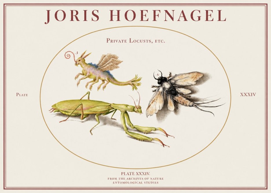 Joris Hoefnagel Privs Locvsta Bovem. No2 - Póster