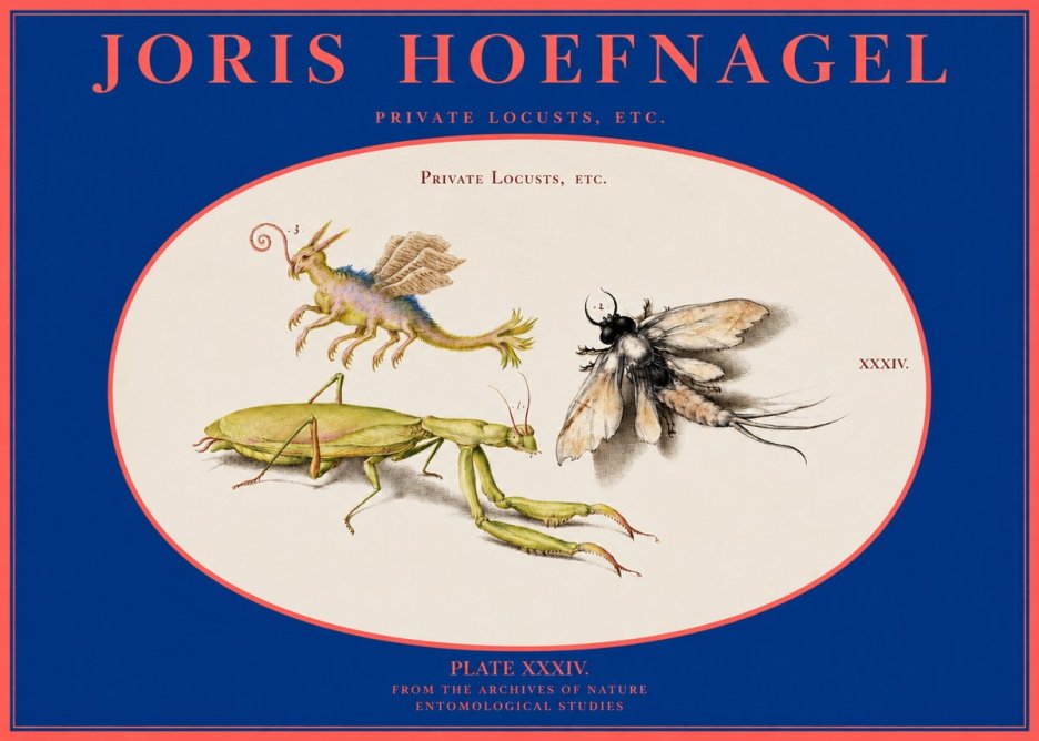 Joris Hoefnagel Privs Locvsta Bovem. No3 - Póster