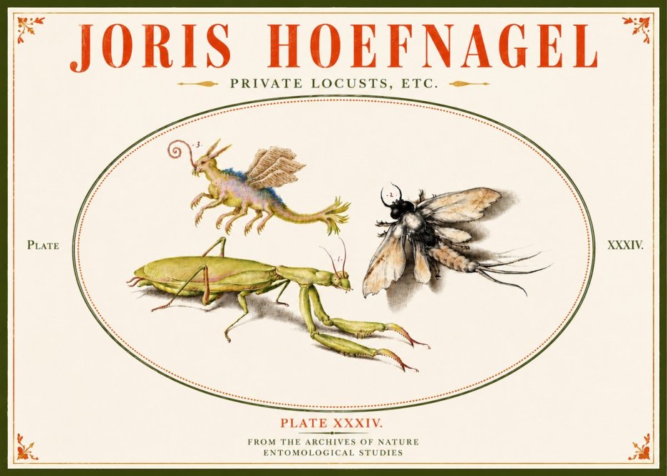 Joris Hoefnagel Privs Locvsta Bovem. No6 - Póster