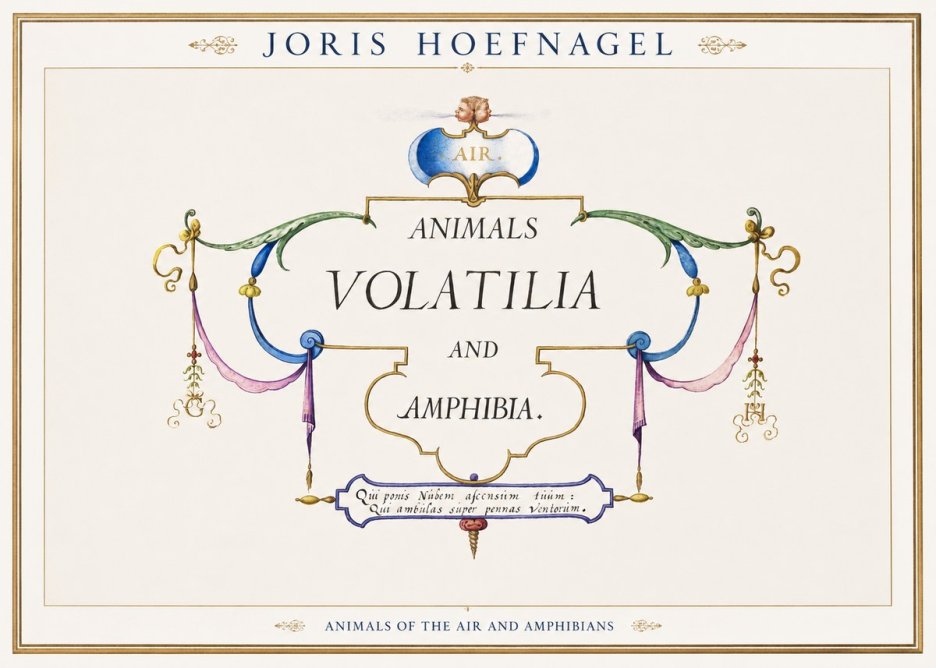 Joris Hoefnagel Animals Volatilia and Amphibia. No1 - Póster