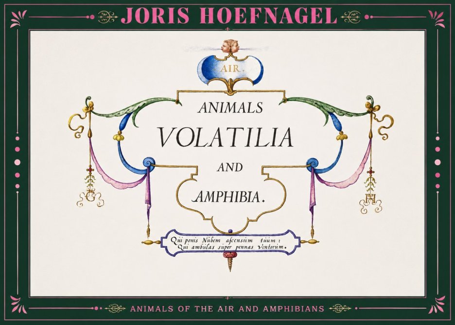 Joris Hoefnagel Animals Volatilia and Amphibia. No2 - Póster