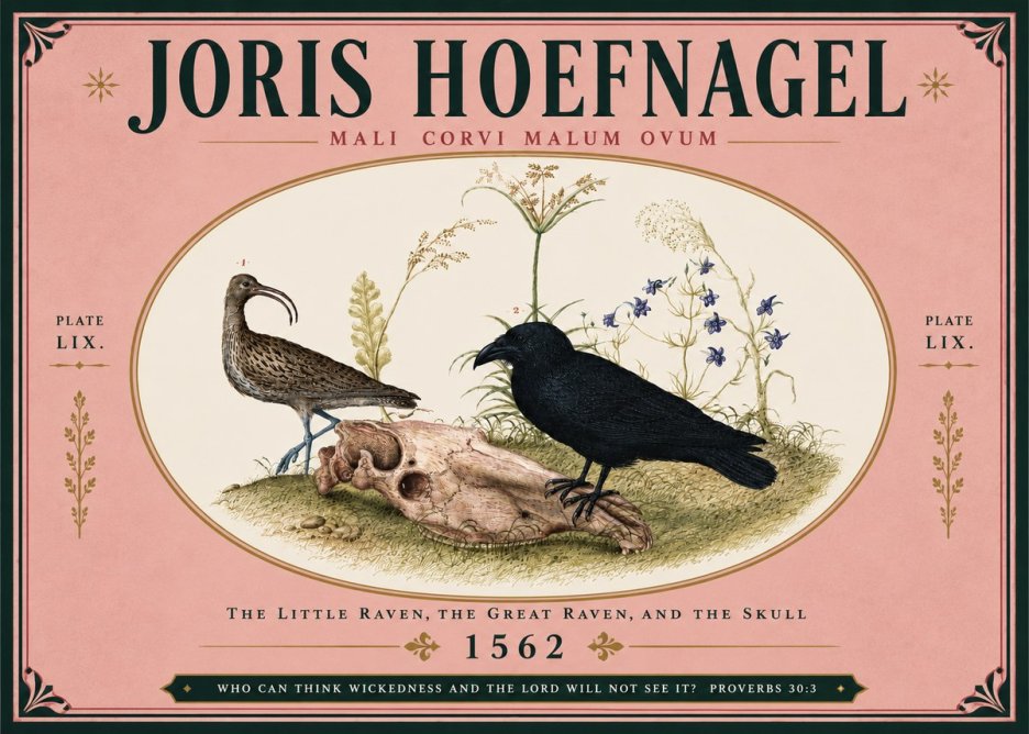 Joris Hoefnagel The Little Raven, the Great Raven, and the Skull No5 - Póster