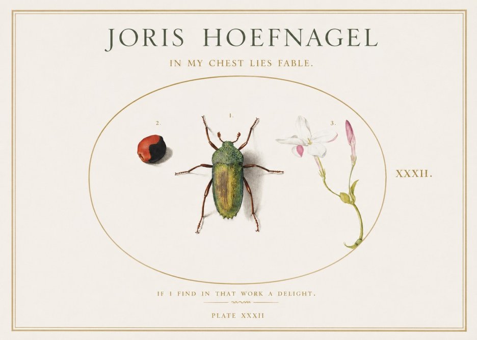 Joris Hoefnagel In My Chest Lies Fable No1 - Póster