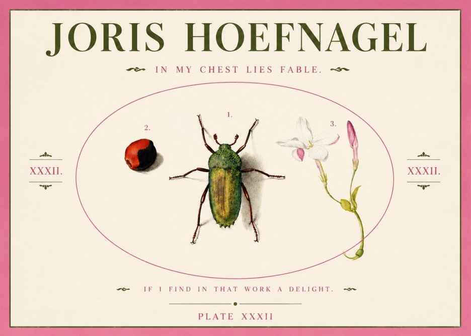 Joris Hoefnagel In My Chest Lies Fable No3 - Póster
