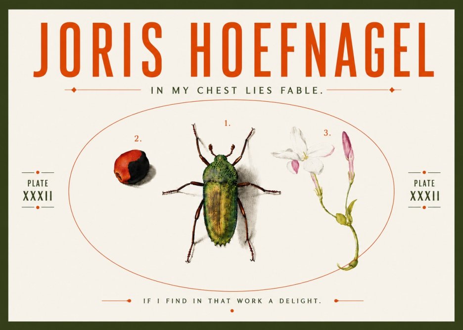 Joris Hoefnagel In My Chest Lies Fable No5 - Póster