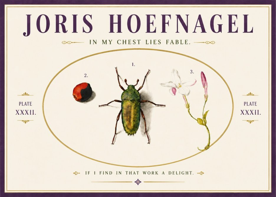Joris Hoefnagel In My Chest Lies Fable No6 - Póster