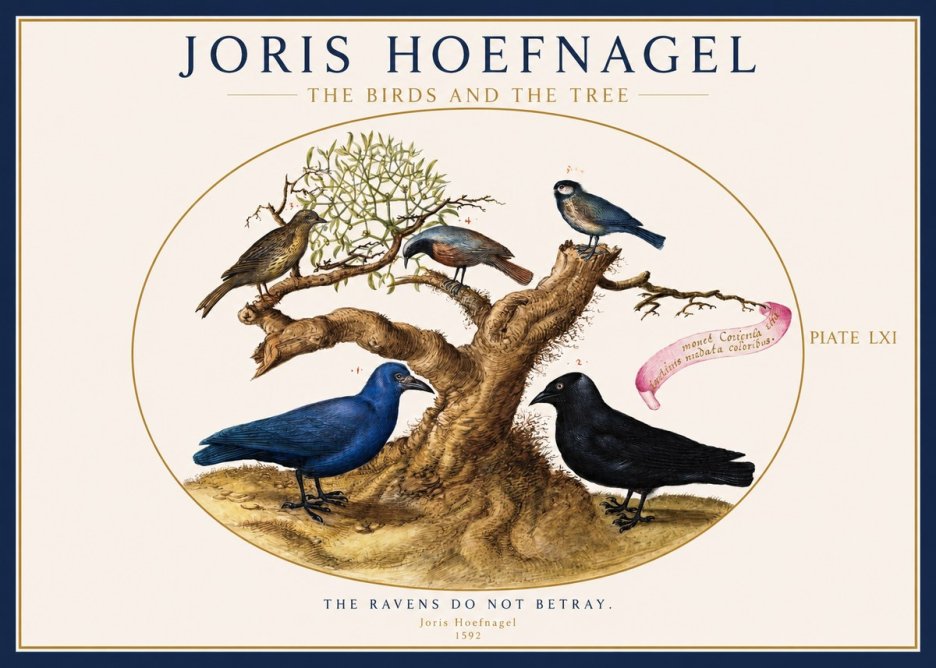 Joris Hoefnagel The Birds and the Tree No1 - Póster