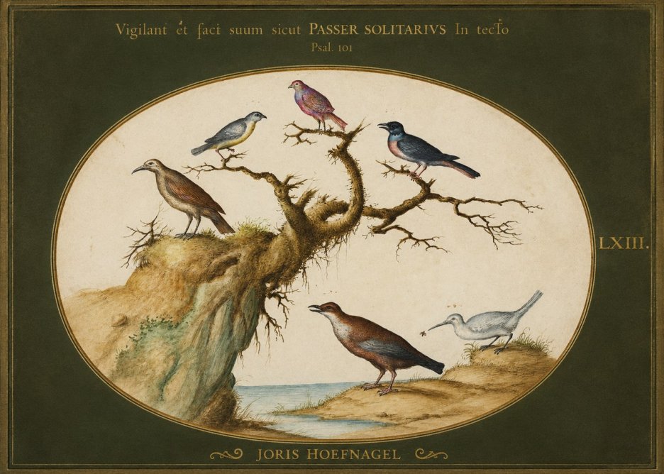 Joris Hoefnagel Vigilant Et Fact Suum Sicut Passer Solitarius in Tecto No1 - Póster