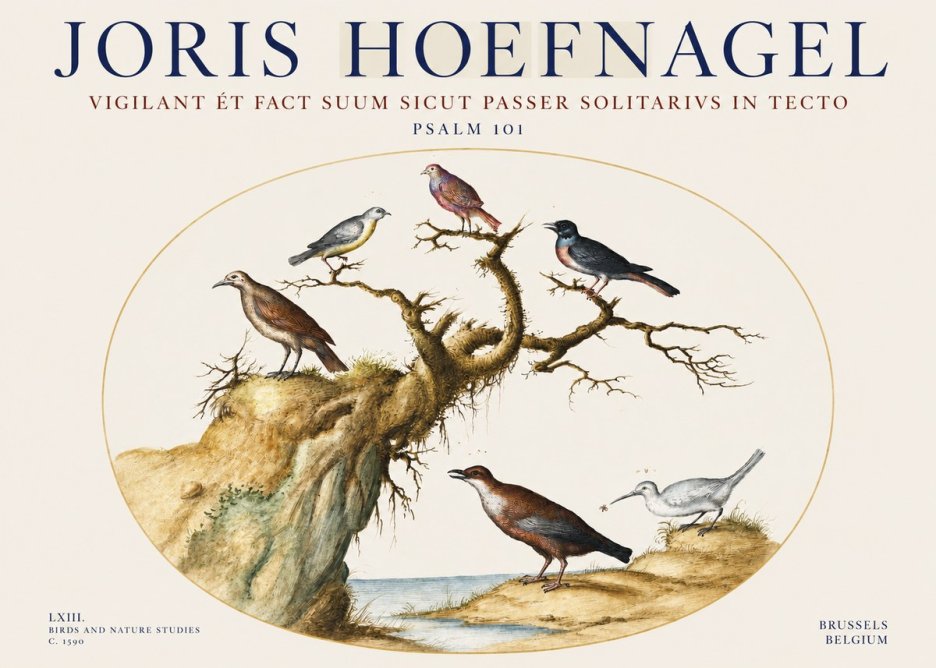 Joris Hoefnagel Vigilant Et Fact Suum Sicut Passer Solitarius in Tecto No3 - Póster