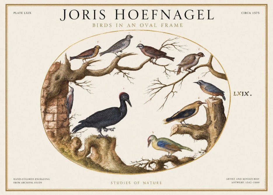 Joris Hoefnagel Birds in an Oval Frame No1 - Póster