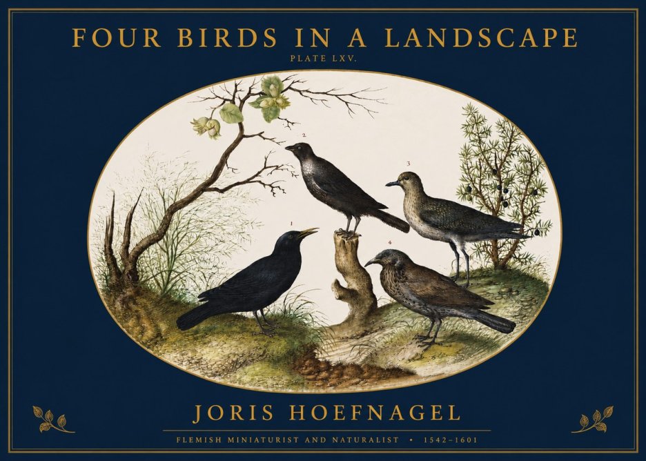 Joris Hoefnagel Four Birds in a Landscape No2 - Póster