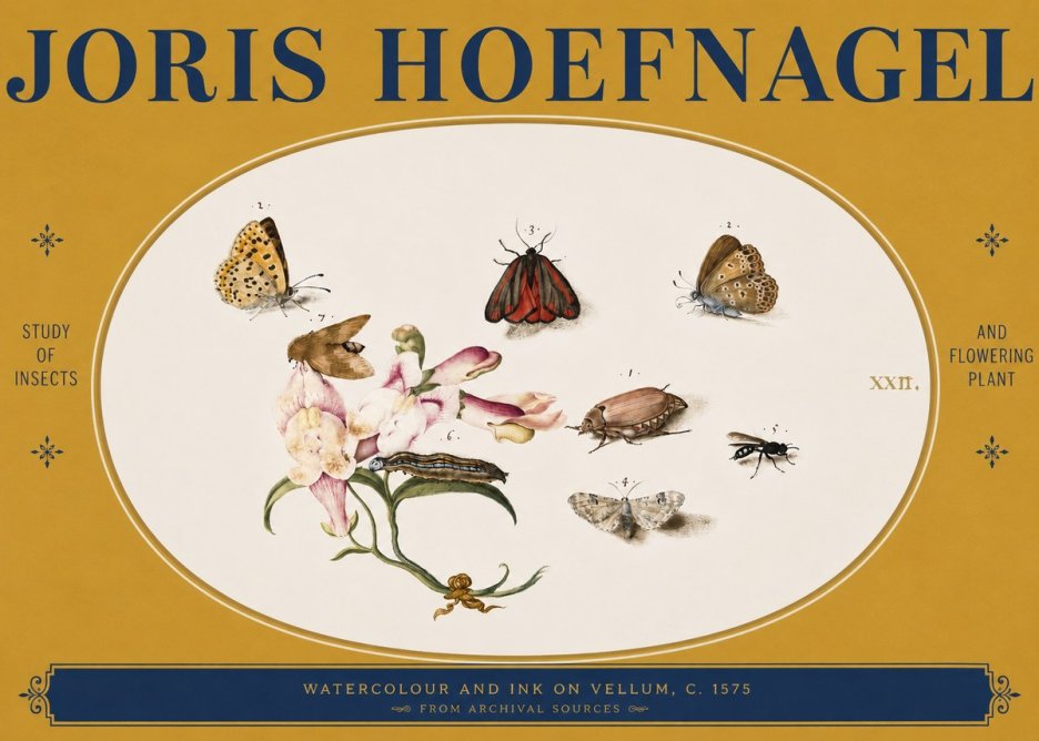 Joris Hoefnagel Study of Insects and Flowering Plant No3 - Póster
