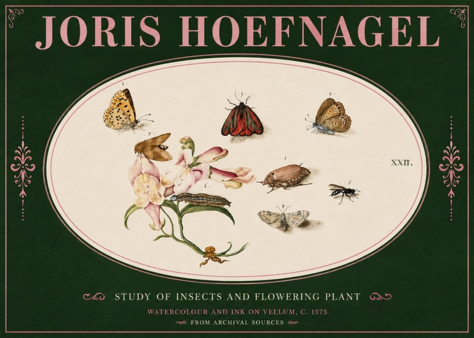 Joris Hoefnagel Study of Insects and Flowering Plant No4 - Póster