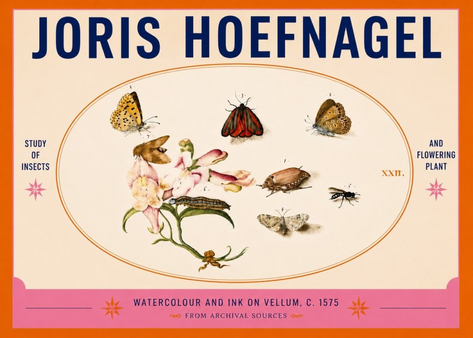 Joris Hoefnagel Study of Insects and Flowering Plant No5 - Póster