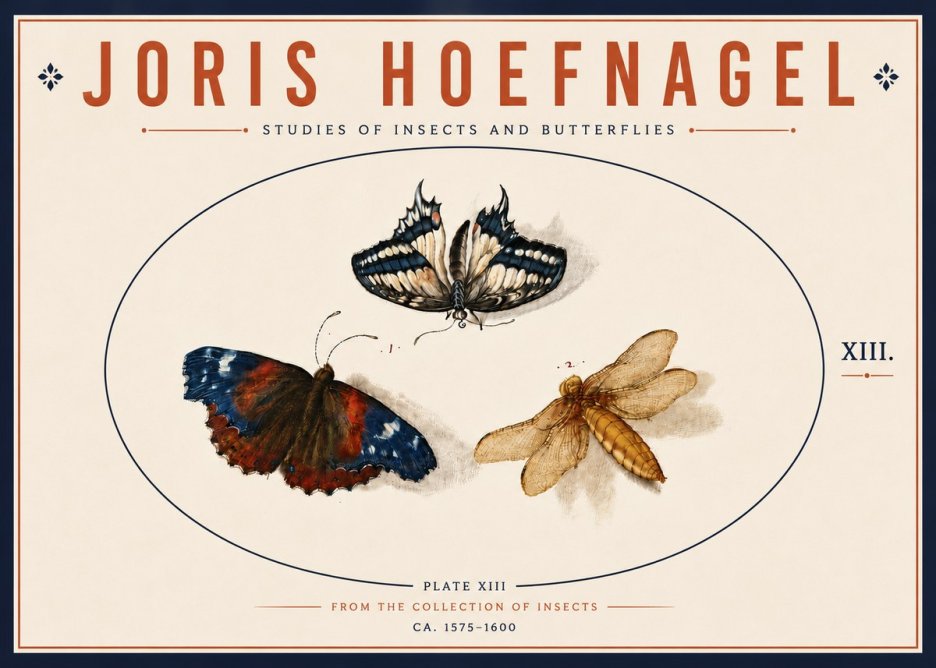 Joris Hoefnagel Studies of Insects - Plate Xiii No6 - Póster