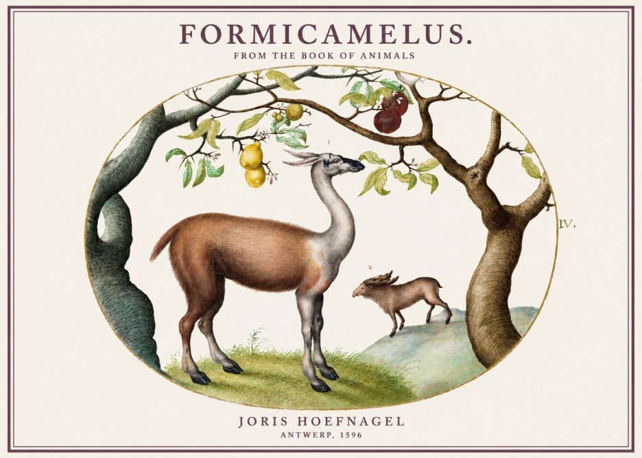 Joris Hoefnagel Formicamelus. No1 - Póster