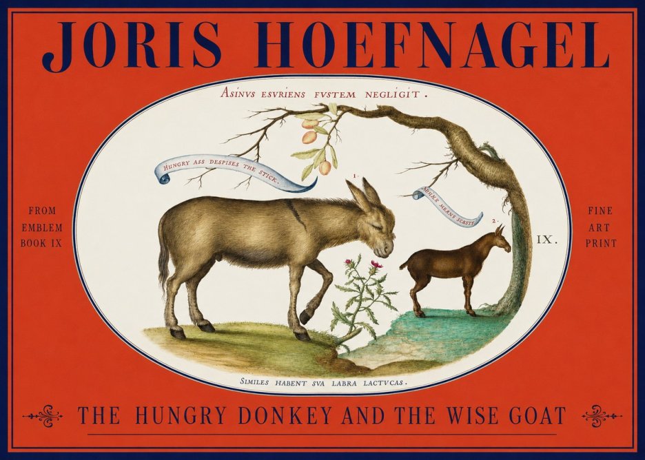 Joris Hoefnagel The Hungry Donkey and the Wise Goat No2 - Póster