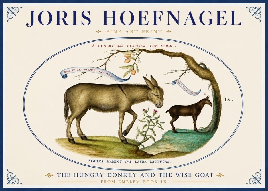 Joris Hoefnagel The Hungry Donkey and the Wise Goat No4 - Póster