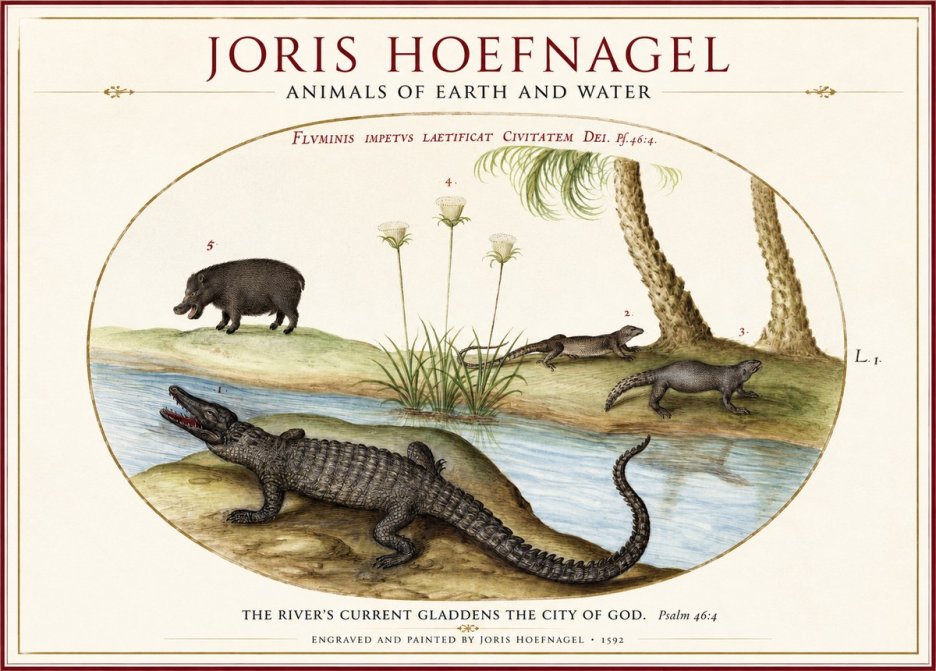 Joris Hoefnagel Animals of Earth and Water No1 - Póster