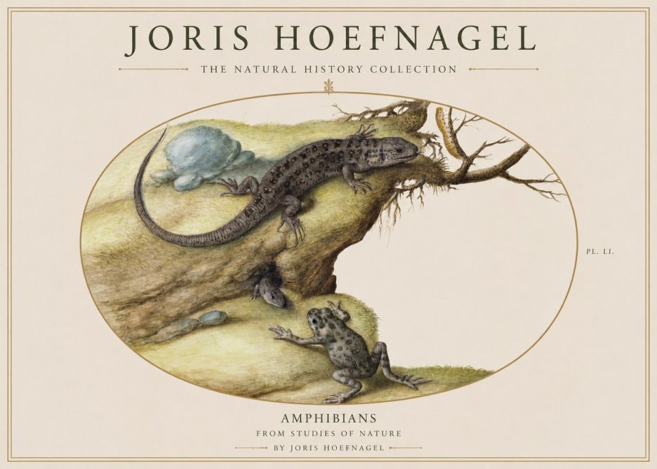Joris Hoefnagel Amphibians from Studies of Nature No1 - Póster