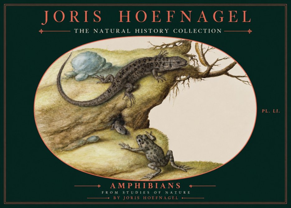 Joris Hoefnagel Amphibians from Studies of Nature No2 - Póster