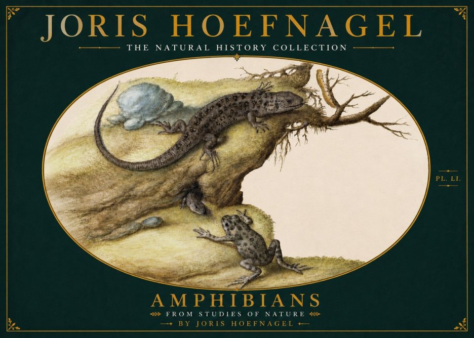 Joris Hoefnagel Amphibians from Studies of Nature No4 - Póster