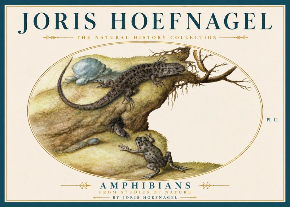 Joris Hoefnagel Amphibians from Studies of Nature No5 - Póster