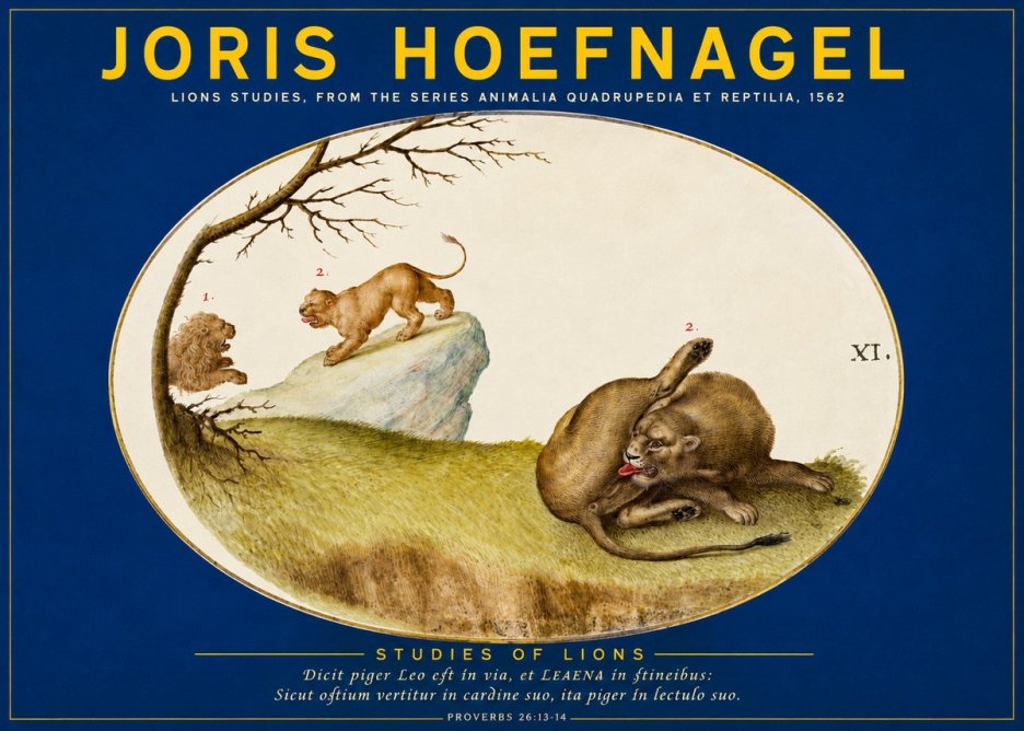 Joris Hoefnagel Lions Studies No2 - Póster