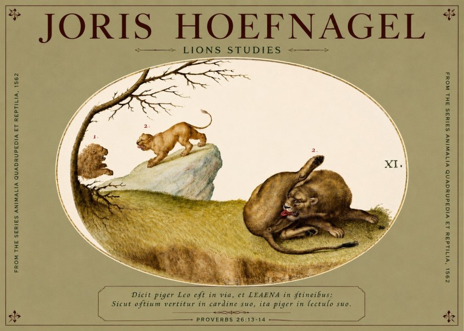 Joris Hoefnagel Lions Studies No4 - Póster