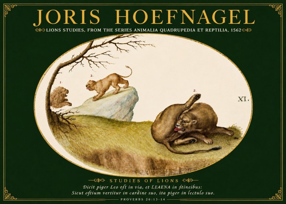 Joris Hoefnagel Lions Studies No5 - Póster