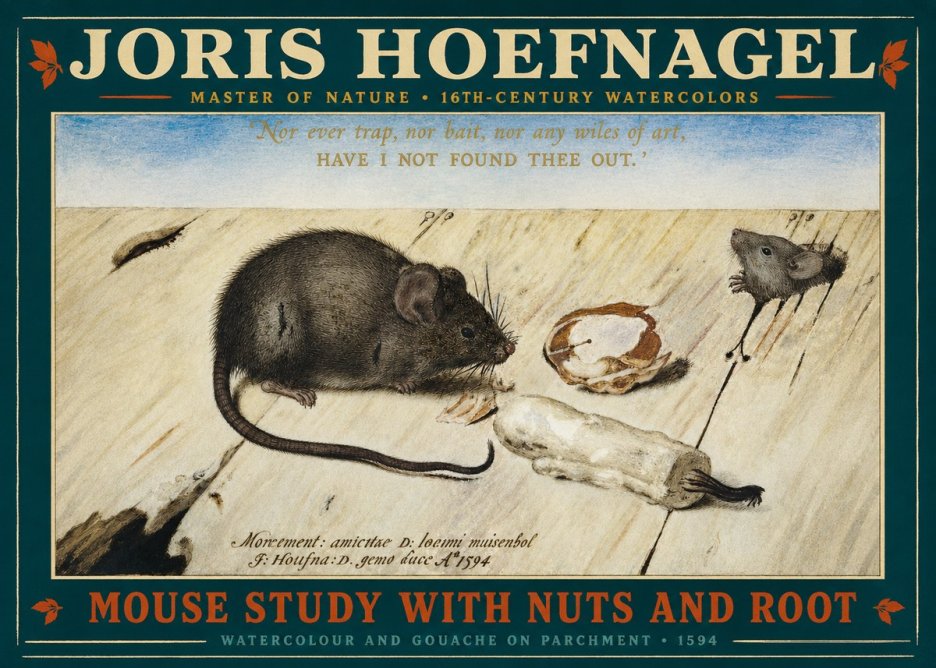 Joris Hoefnagel Mouse Study with Nuts and Root No2 - Póster