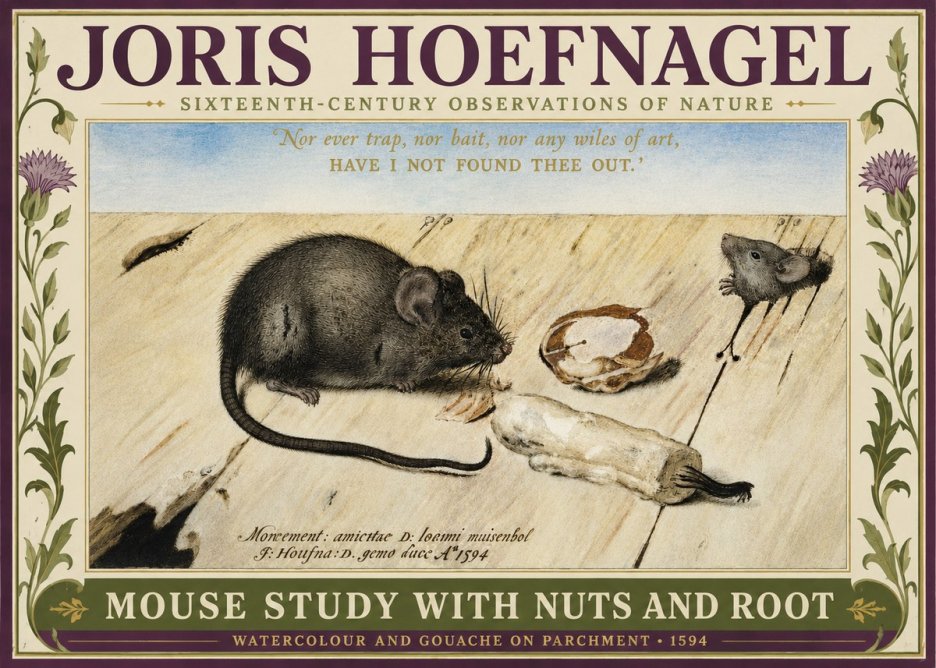 Joris Hoefnagel Mouse Study with Nuts and Root No3 - Póster