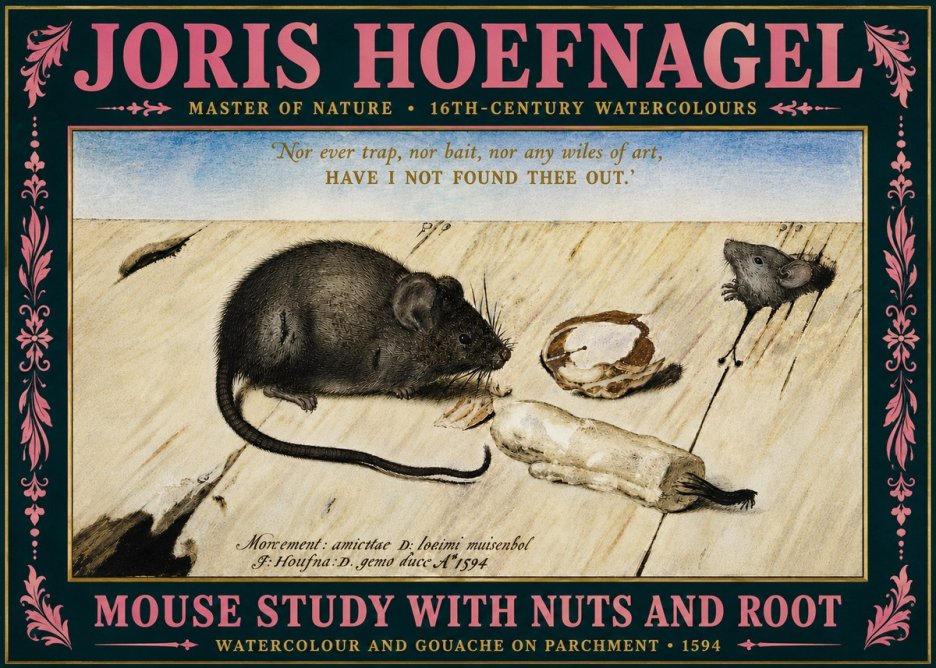 Joris Hoefnagel Mouse Study with Nuts and Root No5 - Póster