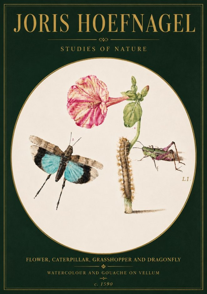 Joris Hoefnagel Plate L1. Studies of Insects and Plants No6 - Póster