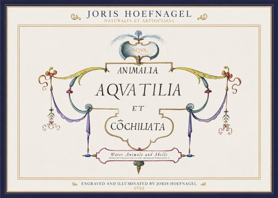Joris Hoefnagel Animalia Aquatilia Et Cochiliata No1 - Póster