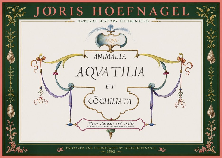 Joris Hoefnagel Animalia Aquatilia Et Cochiliata No2 - Póster