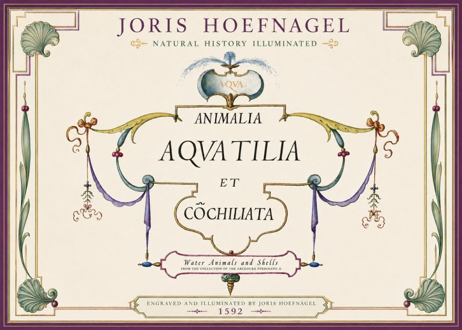 Joris Hoefnagel Animalia Aquatilia Et Cochiliata No4 - Póster