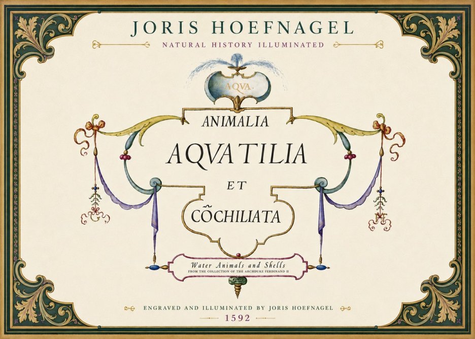 Joris Hoefnagel Animalia Aquatilia Et Cochiliata No6 - Póster