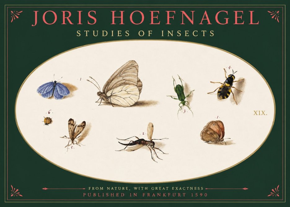 Joris Hoefnagel Studies of Insects V No2 - Póster