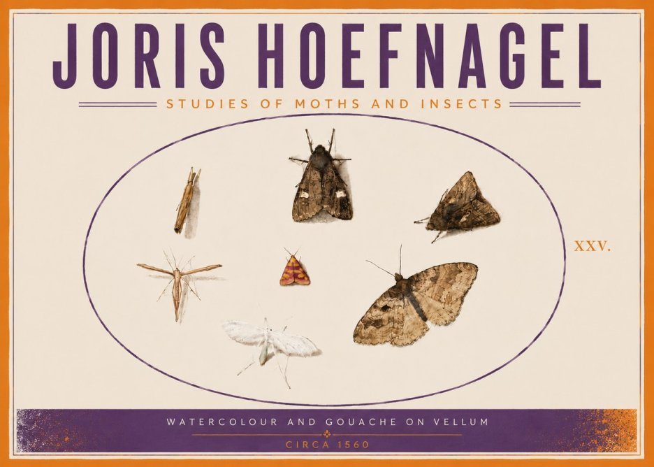 Joris Hoefnagel Studies of Moths and Insects - Xxv. No5 - Póster