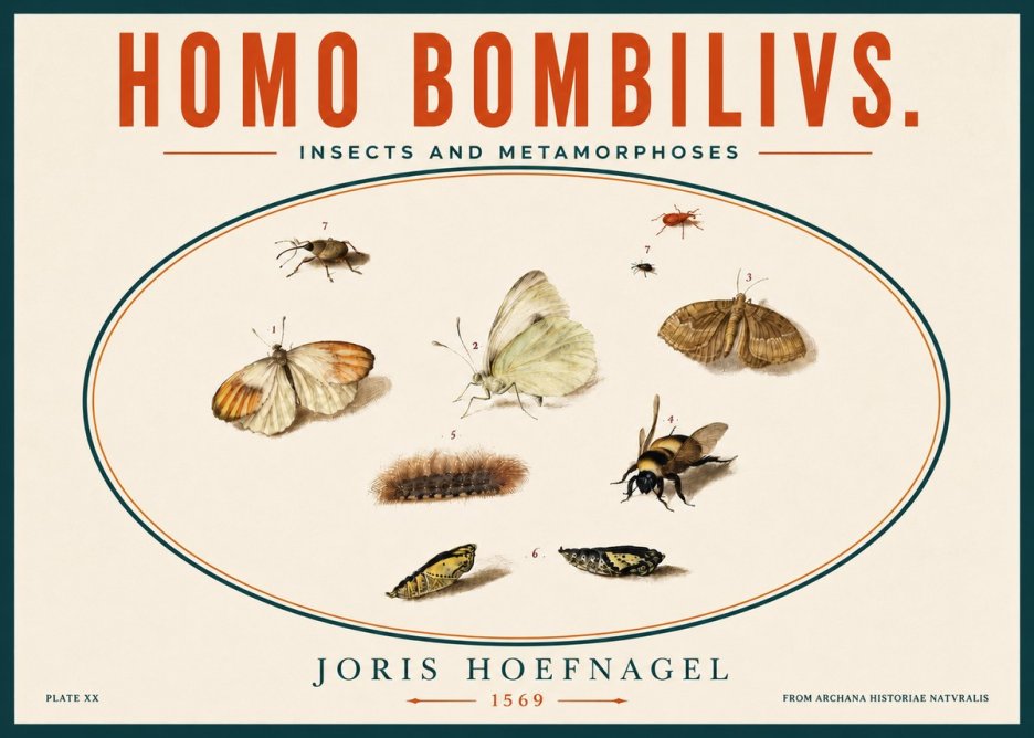 Joris Hoefnagel Homo Bombilivs. Insecta Et Metamorphoses No5 - Póster