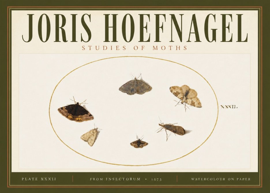 Joris Hoefnagel Studies of Moths III No4 - Póster