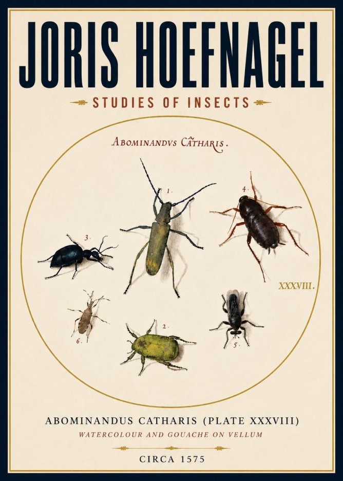 Joris Hoefnagel Abominandus Catharis (Plate Xxxviii) No4 - Póster