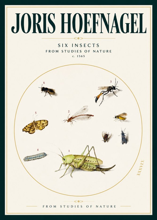 Joris Hoefnagel Six Insects from Studies of Nature C. 1565 No2 - Póster