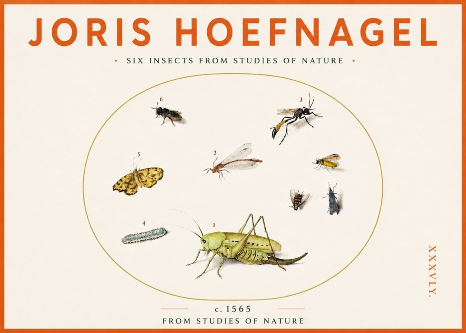 Joris Hoefnagel Six Insects from Studies of Nature C. 1565 No3 - Póster