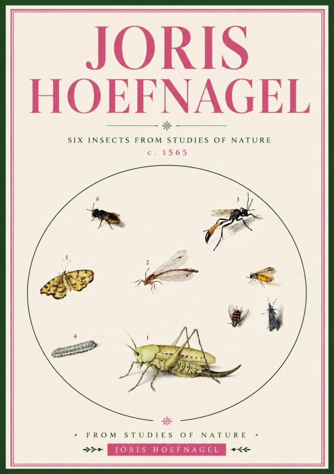Joris Hoefnagel Six Insects from Studies of Nature C. 1565 No5 - Póster