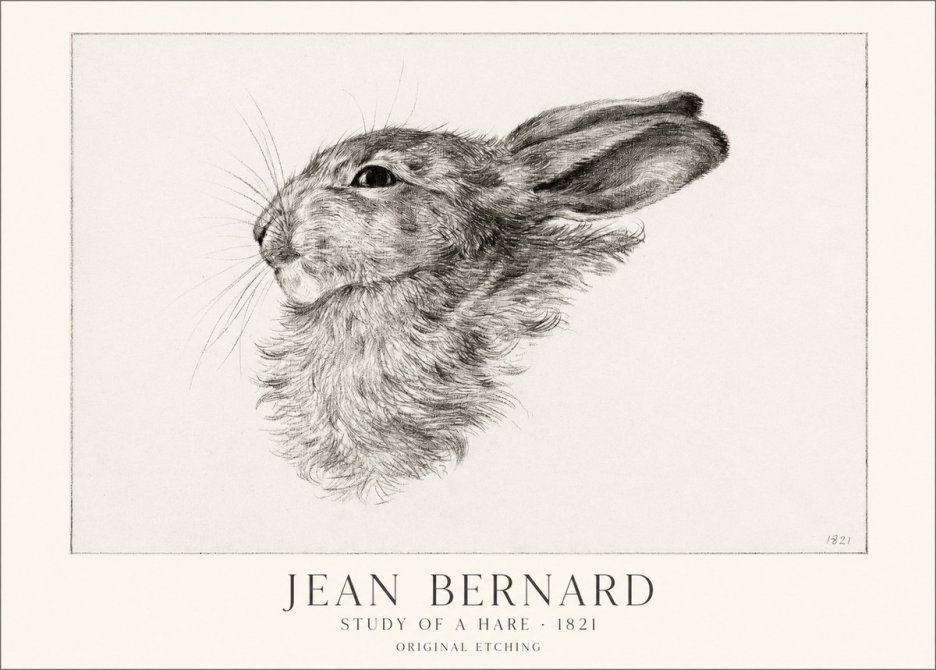 Jean Bernard Study of a Hare No1 - Póster