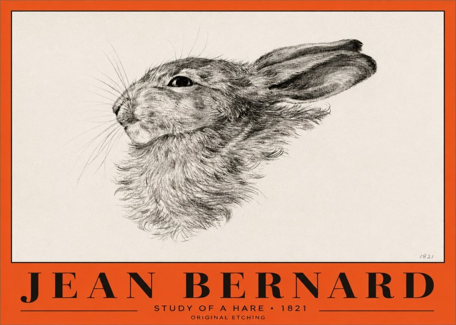 Jean Bernard Study of a Hare No2 - Póster